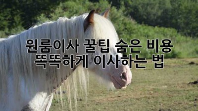 원룸이사 꿀팁🍯: 숨은 비용 ❌ 똑똑하게 이사하는 법